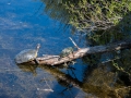 D80_9960.jpg