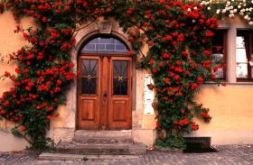 Germany-Switzerland-11.jpg