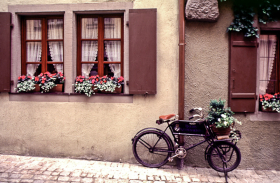 RothDoor14