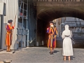 StPeters_Guards_9806