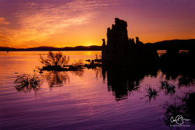 MonoLake_2001-1.jpg