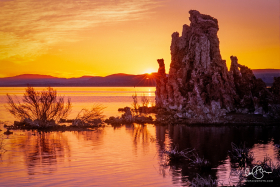 MonoLake_2001-2.jpg