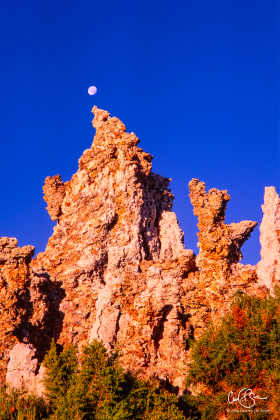 MonoLake_2001-3.jpg