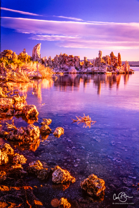 MonoLake_2001-5.jpg