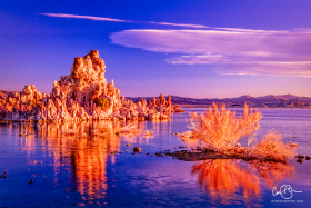 MonoLake_2001-6.jpg