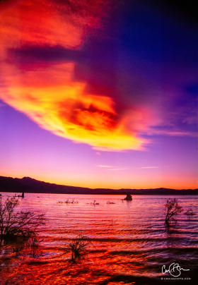 MonoLake_2001-8.jpg