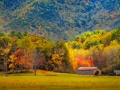 CadesCove_081028_205898
