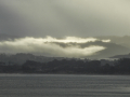 MontereyHarbor_0573_090223