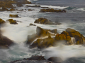 PacificGrove_090224_6529