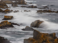PacificGrove_090224_6543