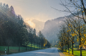Roadside scene outside Gridnelwald, Switzerland.