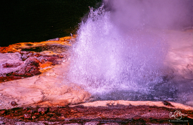 Yellowstone_2001-2.jpg