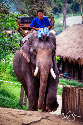 Thailand_1997-2