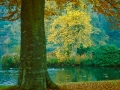 StourheadA_1178