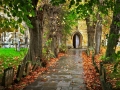 ChurchWetpath_9610xx