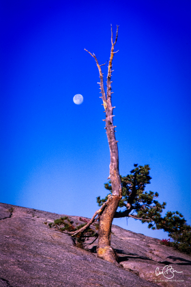 Yosemite_2001-11.jpg