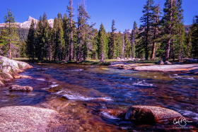 Yosemite_2001-14.jpg