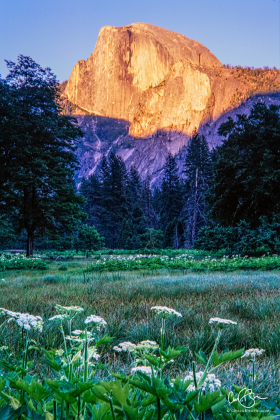 Yosemite_2001-7.jpg