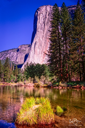 Yosemite_2001-8.jpg
