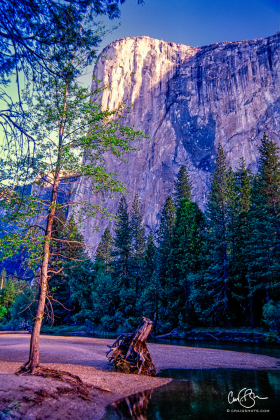 Yosemite_2001-9.jpg