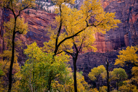 ZionNP_2001-12.jpg