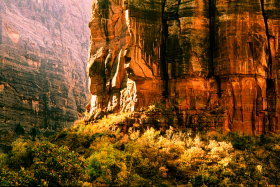 ZionNP_2001-15.jpg