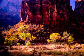 ZionNP_2001-16.jpg