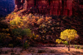 ZionNP_2001-19.jpg