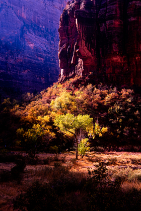 ZionNP_2001-20.jpg