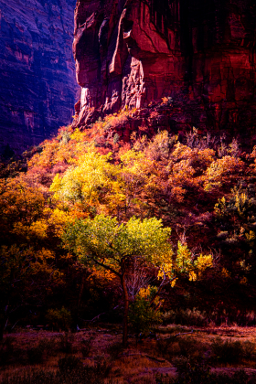 ZionNP_2001-21.jpg