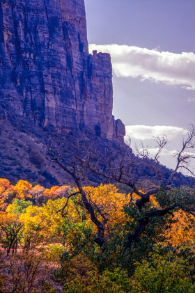 ZionNP_2001-22.jpg