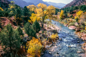 ZionNP_2001-5.jpg