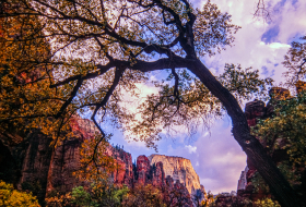 ZionNP_2001-6.jpg