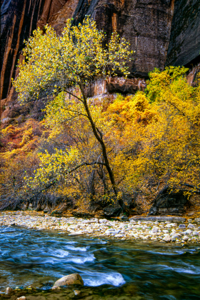 ZionNP_2001-7.jpg