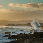 Monterey Peninsula: February 2014