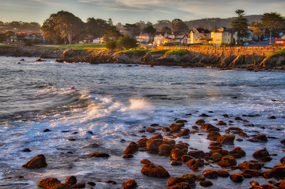 Pacific Grove & Point Lobos Reserve
