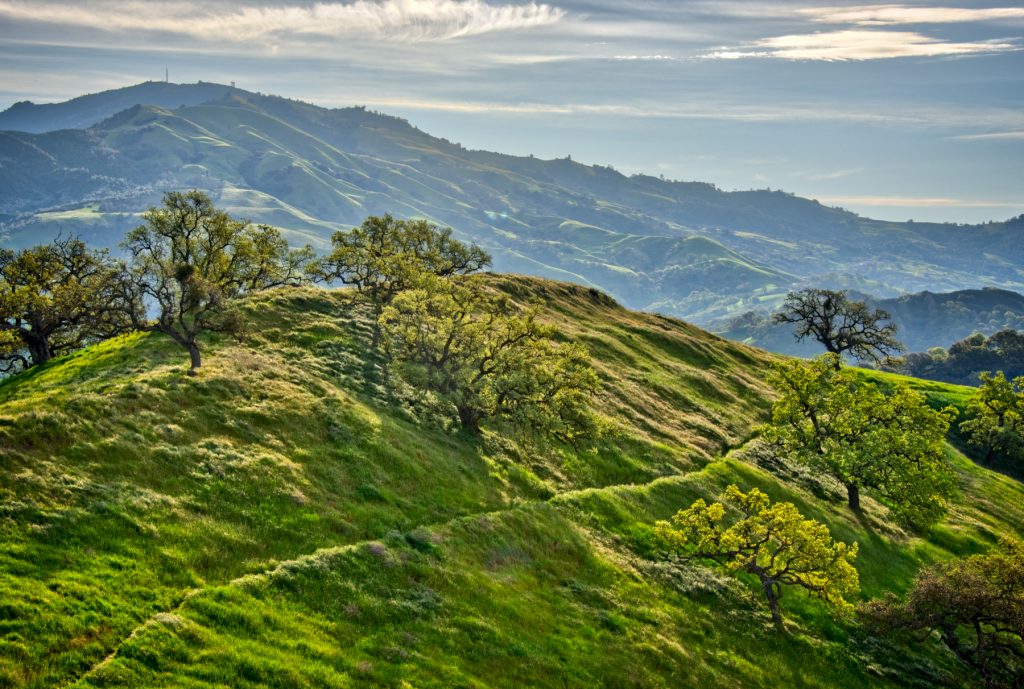 Borges Ranch — Walnut Creek, CA - craigshots photography