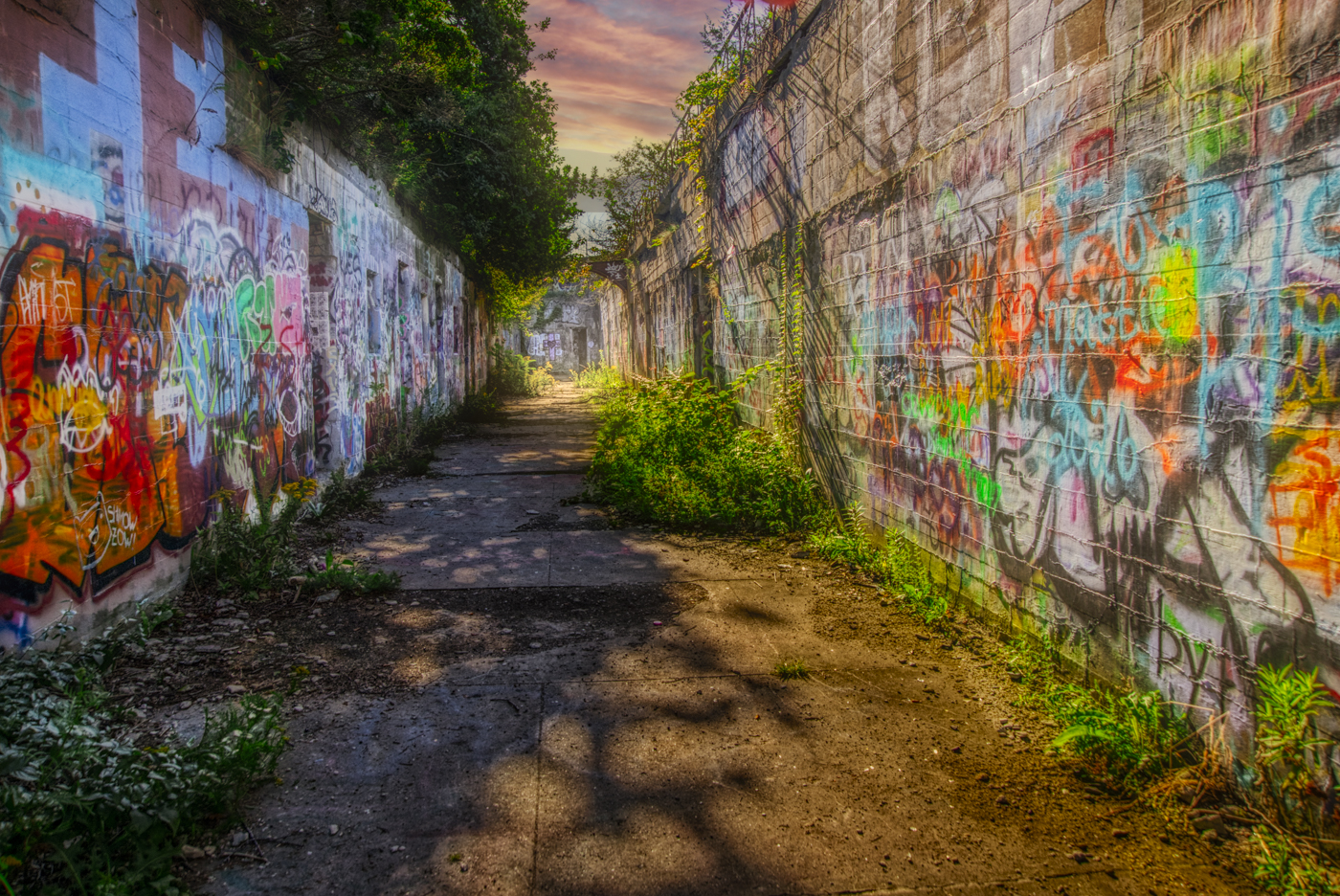 Photography, AI, and Me